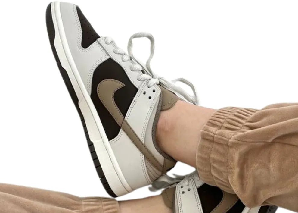 Nike Dunk Low Pro Bear