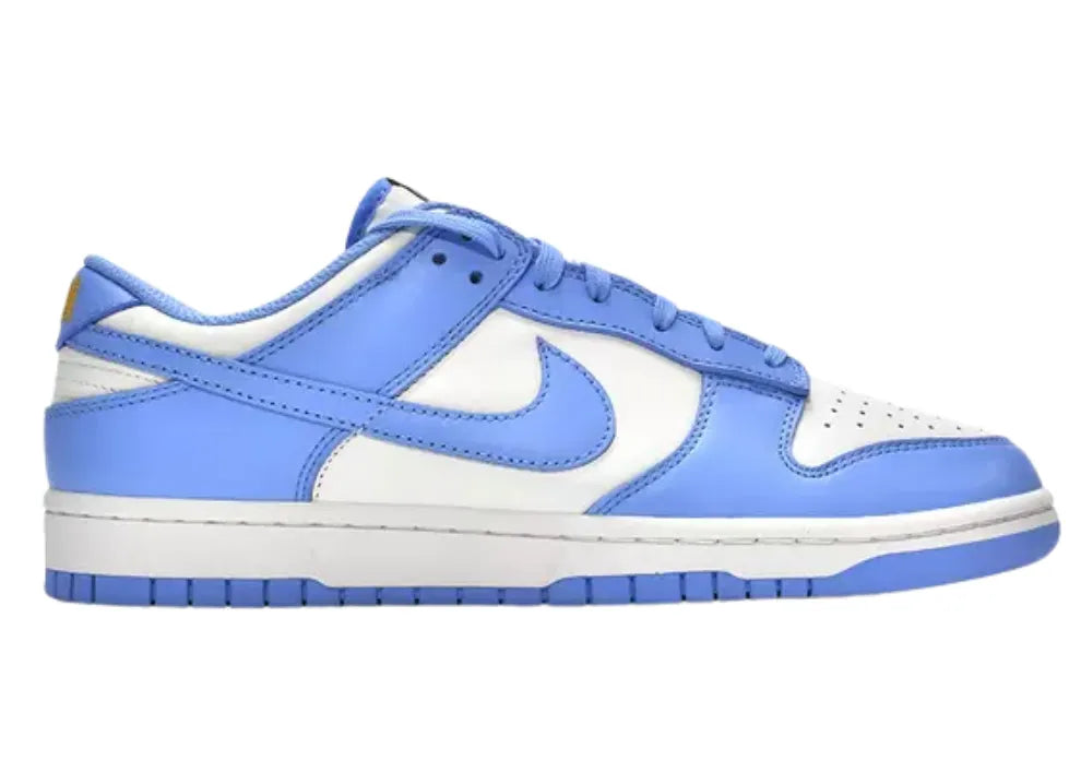 Nike SB Dunk Blue/White